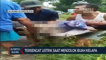 Tersengat Listrik Saat Menjolok Kelapa, Seorang Warga Terluka Parah
