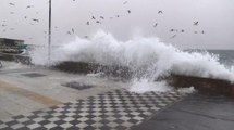 Tekirdağ'da şiddetli fırtına: Dev dalgalar karaya vuruyor