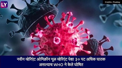WHO चा मोठा इशारा: नवीन Omicron (B.1.1.529) व्हेरिएंट 30 पट अधिक घातक! 🚨