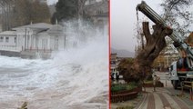 Çatılar uçtu, ağaçlar söküldü, deniz taştı! Fırtına İstanbul dahil pek çok ili perişan etti, uyarılar devam ediyor