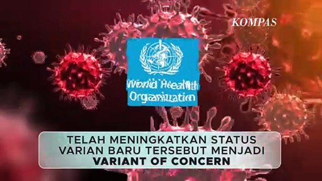 Ancaman Corona Omicron, Indonesia Waspada - [INFO GRAFIS]