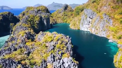 Bird songs, sleep music, meditation, positive energy and deep sleep music in nature