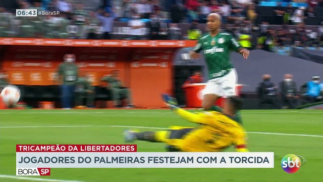 O fim de semana foi de festa para a torcida do Palmeiras, que comemorou o terceiro título da libertadores, depois da vitória por 2 a 1 contra o Flamengo.