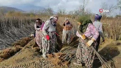 9 ülkeye ihraç ediliyor! Bursa Türkiye lideri