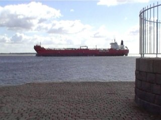 Jasmin se promène dans l'Estuaire de la Loire