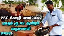 கோழி வளர்ப்பில் கொழிக்கும் லாபம்! | Chicken Poultry Farming | Successful Business | Nanayam Vikatan