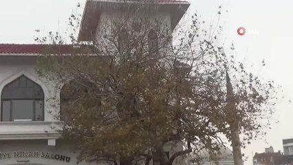 Lodos Bandırma'da hayatı olumsuz etkiledi