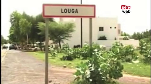 L'histoire jamais racontée de Serigne Ahmed Sahir Lô du daara Koki