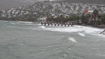 Bodrum'da fırtına kabusu...Ağaçlar ve direkler yıkıldı, elektrik telleri koptu