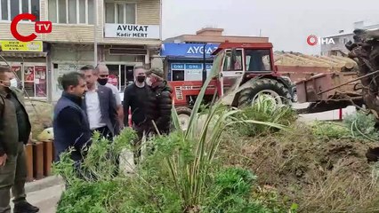 Bursa'da şiddetli lodos 270 yıllık çınar ağacını devirdi