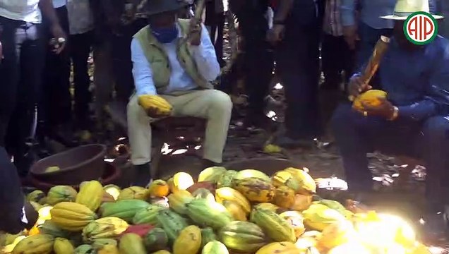 Région-Divo / Le ministre Adjoumani et le président du Fonds international de développement agricole (FIDA) en visite de terrain à Divo