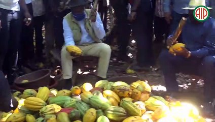Région-Divo / Le ministre Adjoumani et le président du Fonds international de développement agricole (FIDA) en visite de terrain à Divo