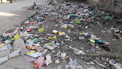स्वच्छता की पोल खोल रहे गंदगी के 'ढेर'