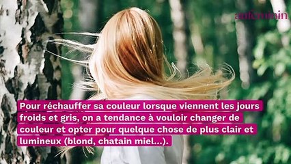 Balayage pour cheveux bruns : tout ce que vous devez savoir avant de vous lancer