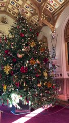 Isabel II ya tiene su árbol de Navidad: necesitó 10 personas para meterlo en palacio