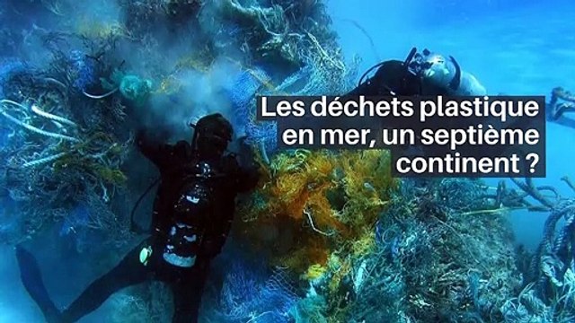 Des étoiles survivent de façon inattendue à la destruction par des trous noirs supermassifs