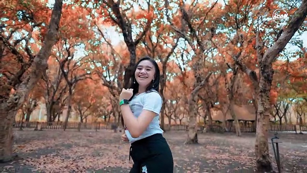 DJ ALAN WALKER PLAY PLAY SLOW REMIX - DJ ACAN