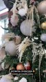 Vídeo. 'Cristina ComVida' inaugura cenários de Natal