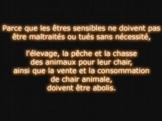 Résolution pour l’abolition de la viande