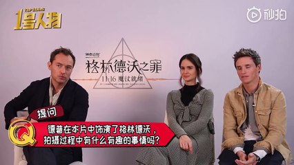 一点娱乐 Fantastic Beasts: The Crimes of Grindelwald Interview