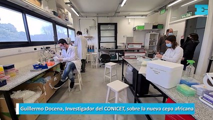 Guillermo Docena, Investigador del CONICET, sobre la nueva cepa africana