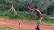 Ce soldat malaisien attrape le cobra royal