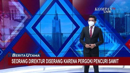 Mobil Direktur Diserang Karena Pergoki Pencuri Sawit Sedang Beraksi, Berikut Kronologi Kejadiannya