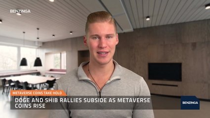 Metaverse Coins Take Hold