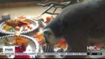 KMIR NEWS 5am part 1 112521