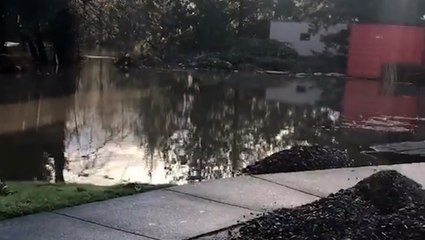 Eerie flood warning advises to shelter-in-place