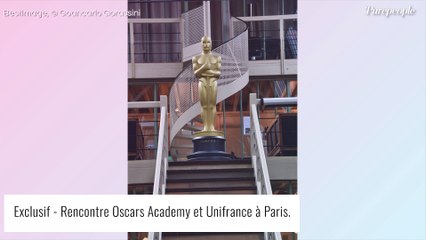 Très populaire, une star oscarisée renonce finalement à entrer en politique