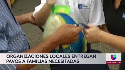 Merchant - Pavos PENDAS