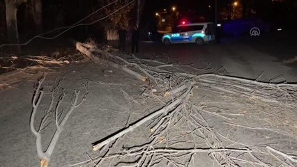 Kuvvetli fırtına ve yağmur etkili oluyor