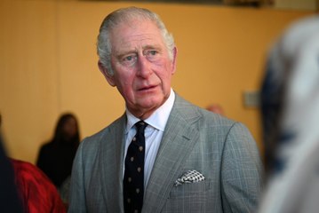 The "Unnamed Royal" That Asked About Archie's Skin Color Is Allegedly Prince Charles