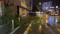 BALIKESİR - Kuvvetli fırtına ağaçları ve otobüs durağını devirdi