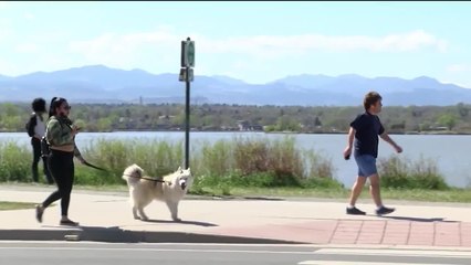 Noticias Nevada 6pm 112221