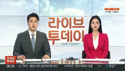 한중, 경제공동위 회의…요소수·한한령 논의 주목
