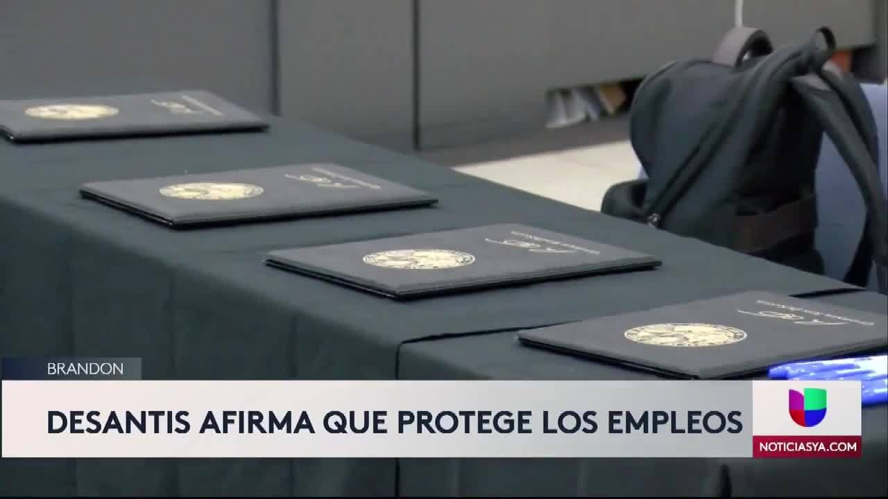 Pérez - DeSantis  4 leyes