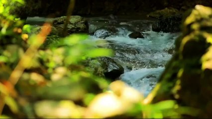 Sholawet Jibril (Akustik)