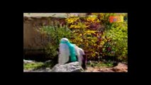 02.مسلسل هضبة الحنان ـ الحلقة 2 الثانية كاملة - Hadabet el Hanan HD