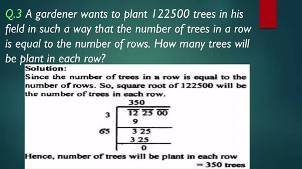 class eight math chapter 2 exercise 2.8