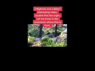 This will make you believe bigfoot is real