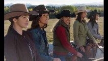 S15,E8 — Heartland Season 15 Episode 8 Drama — Official Video™