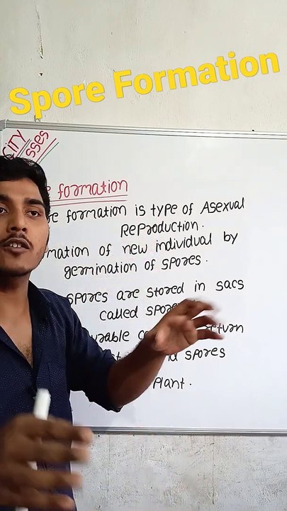 Spore formation | spore formation in Hindi | spore formation biology #cityclasses