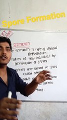 Spore formation | spore formation in Hindi | spore formation biology #cityclasses