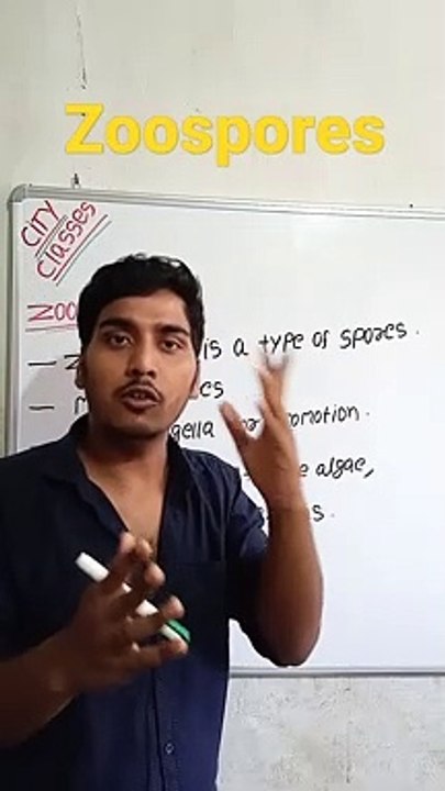 Zoospores | Zoospores in Hindi | zoospores biology | what is zoospores #cityclasses