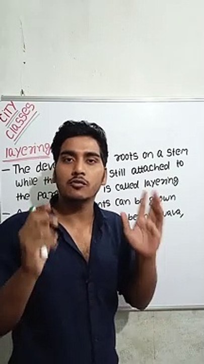 Layering | layering in Hindi | layering biology | what is layering #cityclasses