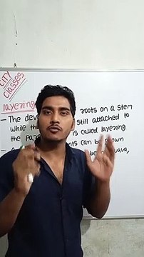 Layering | layering in Hindi | layering biology | what is layering #cityclasses