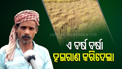 Cyclone Threat To Odisha : Farmers In Distress Over Protection Of Crops