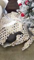 Sneaky Dog Climbs Into Christmas Present